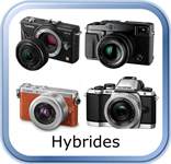 hybrides
